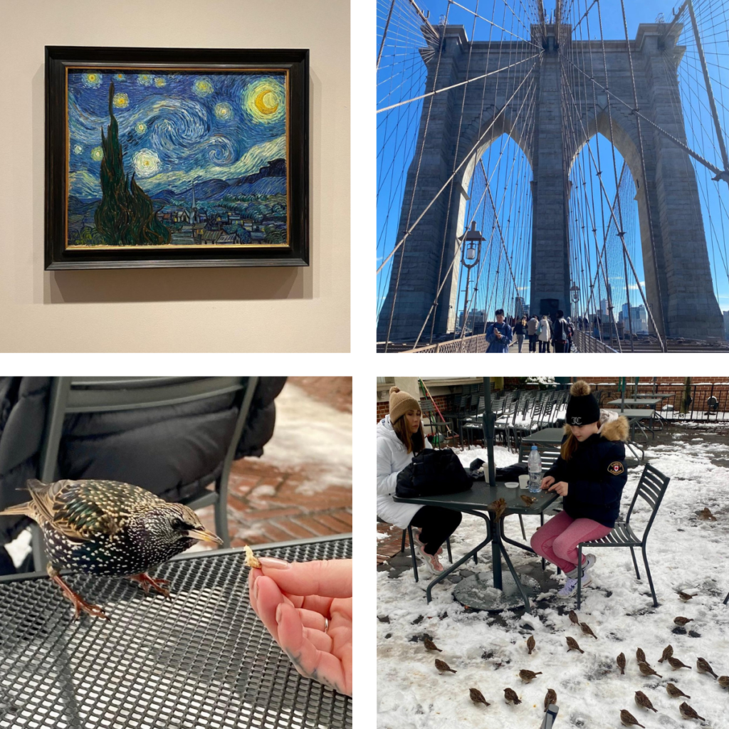 Moma New York, Vincent van Gohe starry night, central park