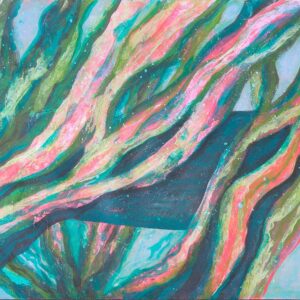 CABBAGE TREE BAY HIDING