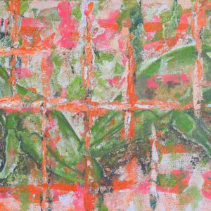 CABBAGE TREE BAY NO NETS