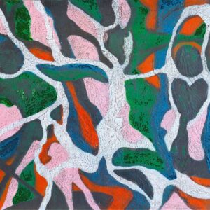 CABBAGE TREE BAY DEMONS