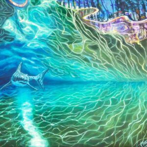 manly beach, northern beaches, shark, surf, ocean