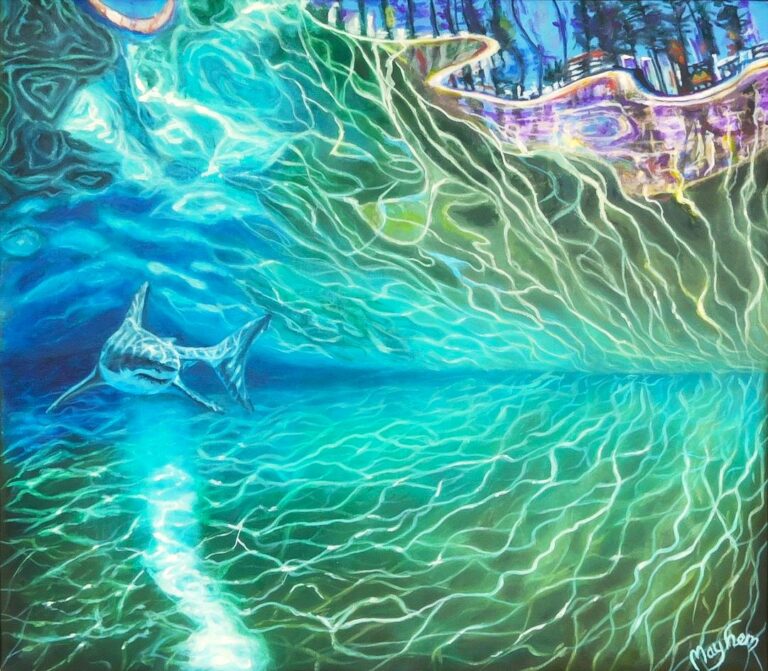 manly beach, northern beaches, shark, surf, ocean